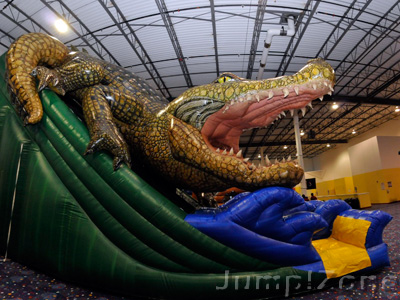 Indoor Inflatable Party